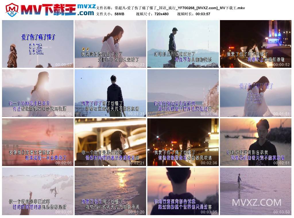 常超凡-爱了伤了痛了懂了_国语_流行_YF700268